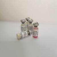 法布里德巴利酵母