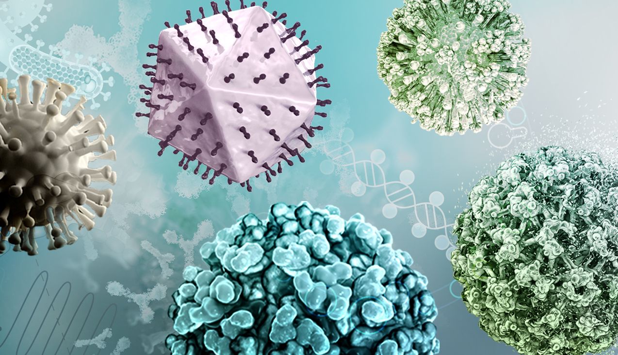 泛血清型登革热病毒抑制剂JNJ-A07的抗病毒机制