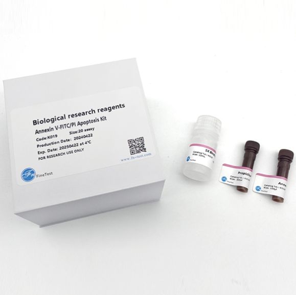 Annexin V-FineTest®647/7-AAD凋亡检测试剂盒