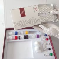 牛抗钙调素特异抗体(CAM-Ab)酶联免疫试剂盒 