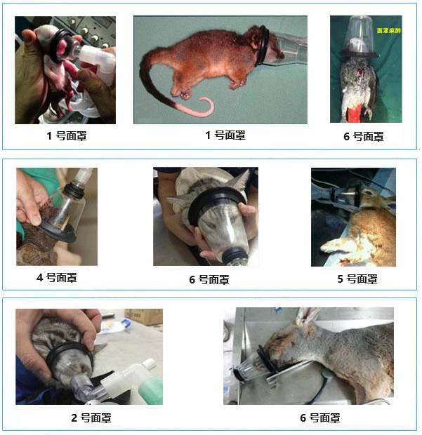 产品细节图片15