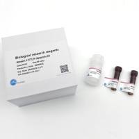 FN-Click EdU细胞增殖流式检测试剂盒(红色，FineTest®647)