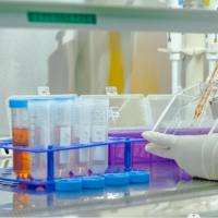 CRISPR基因编辑解决方案