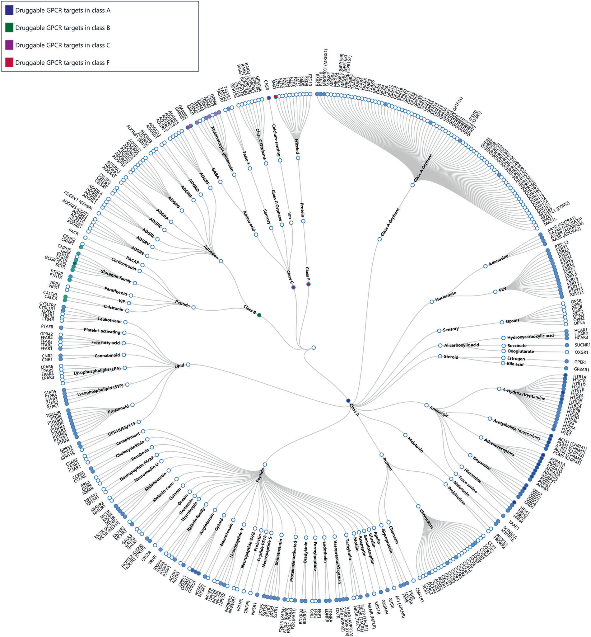 一文认识王牌药靶家族GPCR