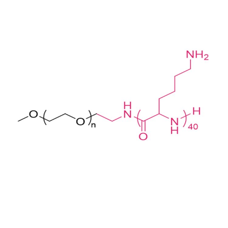 mPEG-P(LYS)40(ethylamine)
