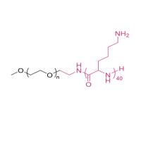 mPEG-P(LYS)40(ethylamine)