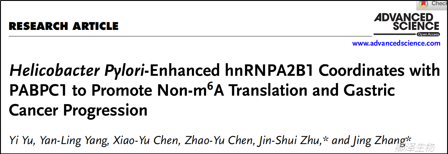 Adv Sci (Weinh). | 翻译组学技术助力揭示幽门螺杆菌感染后的非m6A翻译调控