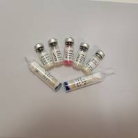 罗氏韦荣氏球菌