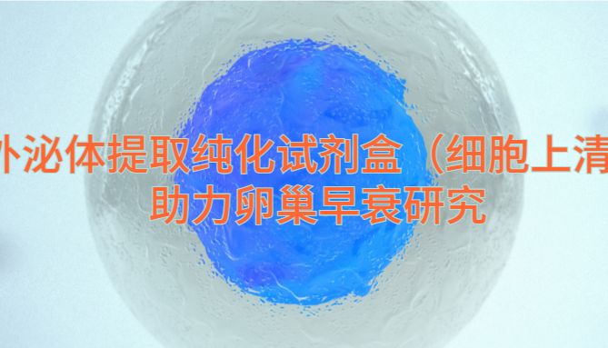 IF=10.6 | 宇玫博外泌体提取纯化试剂盒UR52121（细胞上清）助力客户卵巢早衰研究！