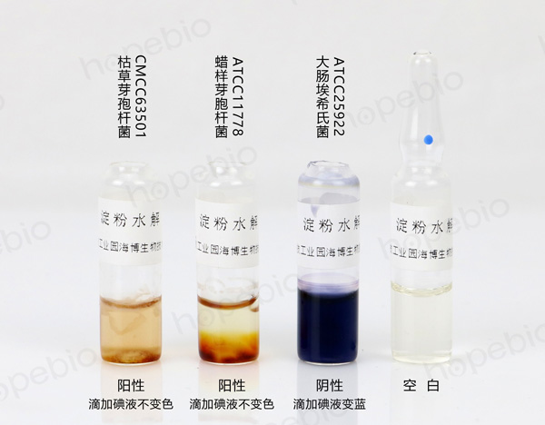 淀粉水解(枯草芽孢杆菌)原理和使用方法