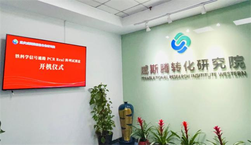 铁死亡信号通路PCR Real阵列试剂盒隆重上市