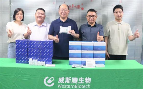 铁死亡信号通路PCR Real阵列试剂盒隆重上市