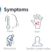 出境东南亚MPV猴 痘病毒核酸PCR检测试剂盒