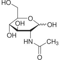 N-乙酰氨基葡萄糖