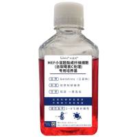 MEF小鼠胚胎成纤维细胞专用培养基