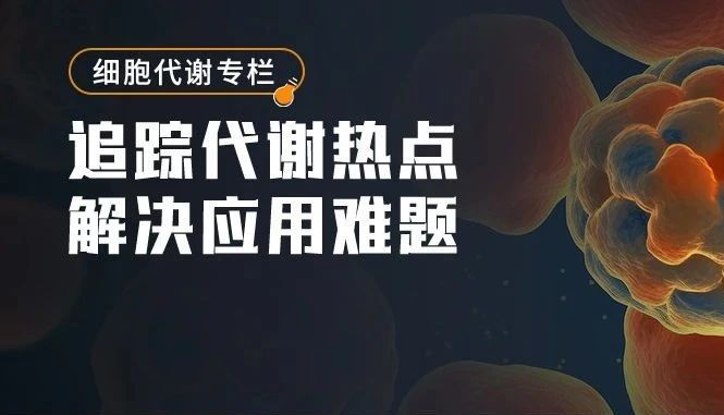 细胞代谢 | 外酸化率、氧消耗率、线粒体呼吸链复合物……Elabscience®能量代谢检测指标大盘点