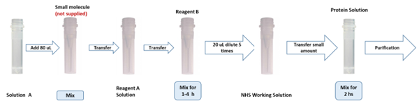 PerKit KLH小分子酸偶联试剂盒促销啦 PerKit KLH小分子酸偶联试剂盒促销啦
