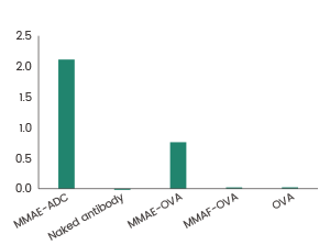 抗Payload抗体试用装免费送，助力ADC药物研发