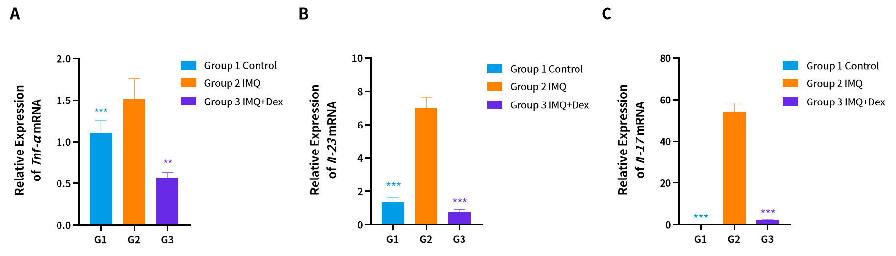 造模百科 | 银屑病小鼠模型