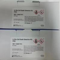 Roche货号11684817910现货In Situ Cell Death Detection Kit，POD上海睿安生物13611631389