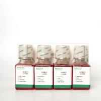 小鼠骨髓树突状细胞(成熟DC细胞)完全培养基