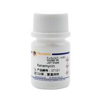 Kanamycin