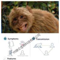 猴 痘病毒荧光定量pcr检测试剂(探针法)说明书