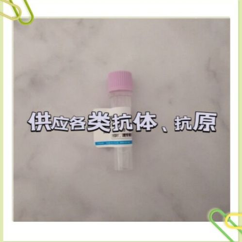 可溶性CD40配体（重组人sCD40L）