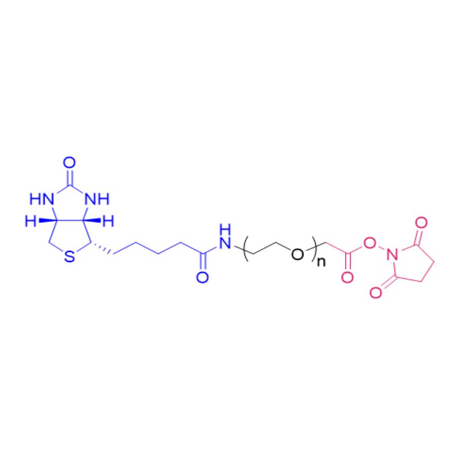 Biotin-PEG-SCM
