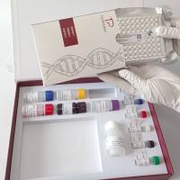 牛成纤维细胞生长因子4(FGF4)酶联免疫试剂盒 