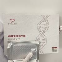 牛成纤维细胞生长因子6(FGF6)酶联免疫试剂盒 
