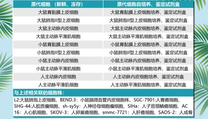 2024 开学季  细胞定制服务来了~