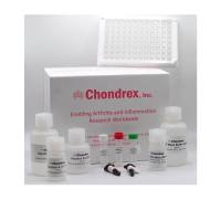 Chondrex 2055T 人/猴抗人 II 型胶原 IgG 抗体检测试剂 盒