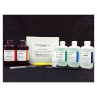 Fdneurotech PK401 FD Rapid GolgiStain™ 试剂盒 （大）