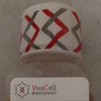 VivaCell货号C8013血小板裂解物(GMP级)上海睿安生物13611631389