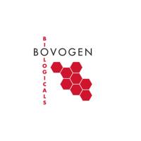 Bovogen BSAS100 Bovine Serum Albumin (BSA)  100G