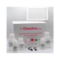 Chondrex 3005 小鼠总 IgE（IgEa 和 IgEb）检测试剂盒
