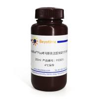 BeyoBlue™ Plus考马斯亮蓝超快染色液(特快)