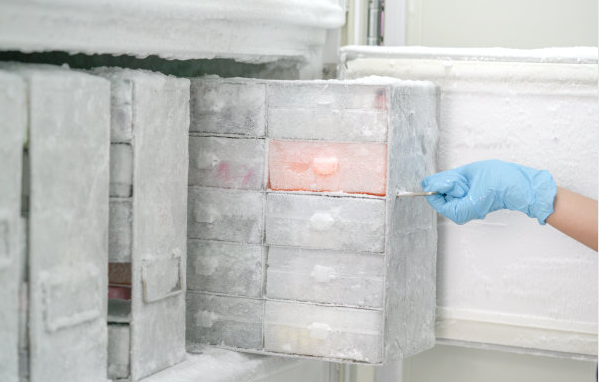 细胞冻存的具体操作步骤