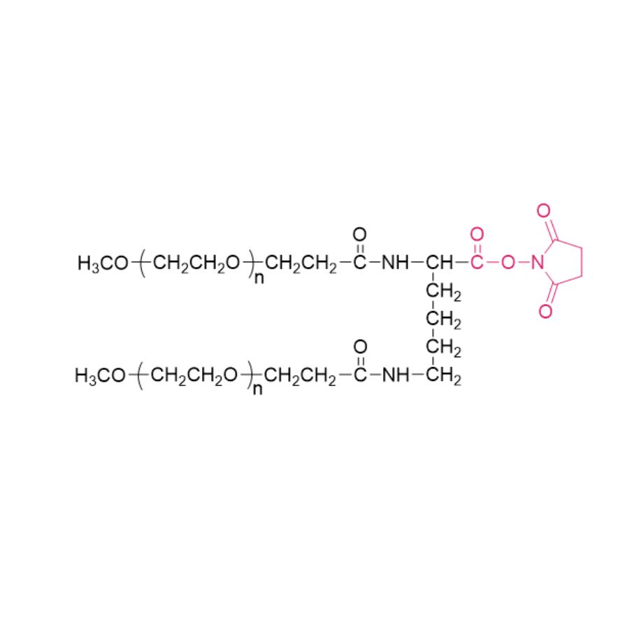 2-arm PEG-NHS(LYS02)