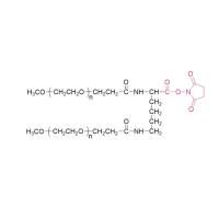 2-arm PEG-NHS(LYS02)