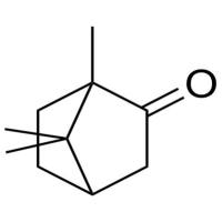 Camphor ((±)-Camphor)