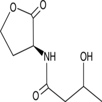 N-3-hydroxybutyryl-L-Homoserine lactone