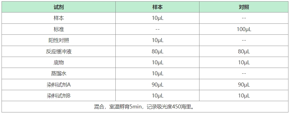 如何评估类器官免疫共培养杀伤效果