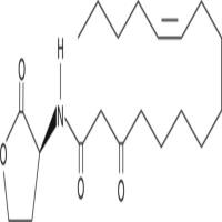 N-3-oxo-hexadec-11(Z)-enoyl-L-Homoserine lactone