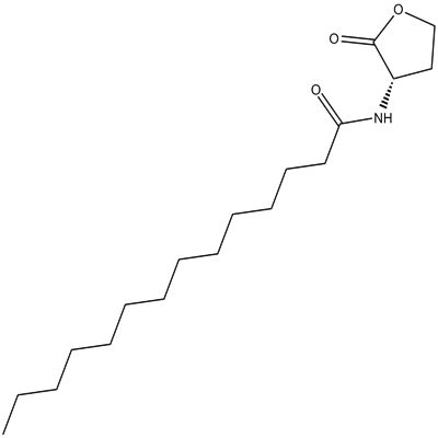 N-tetradecanoyl-L-Homoserine lactone