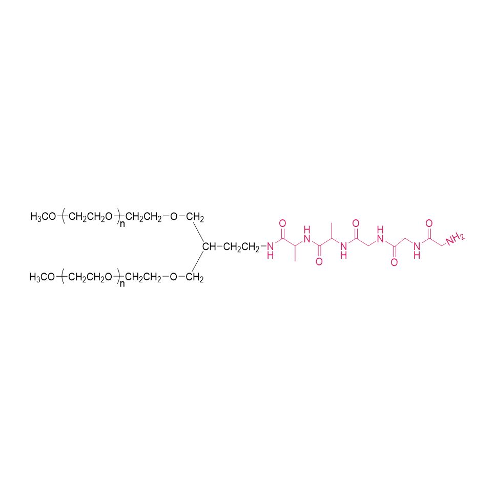 2-arm PEG-NH-CO-AAGGG(PT02)