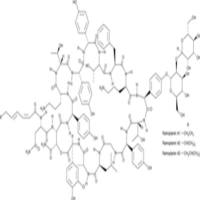 Ramoplanin Complex