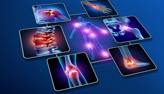 精品推荐 | NGF靶点蛋白助力关节疼痛抗体疗法快速发展