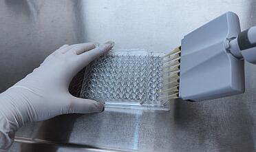 酶联免疫吸附试验ELISA出现“花板”现象探讨